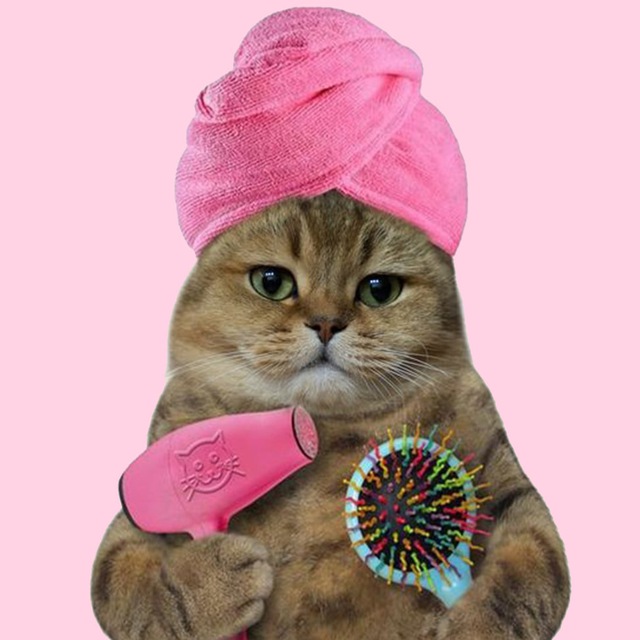 Аватар @girls_womens_humor