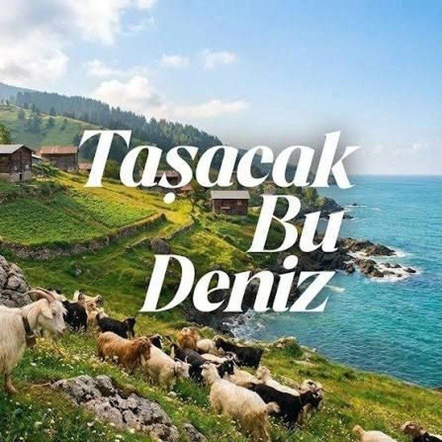Avatar of @te_BereketliTopraklar